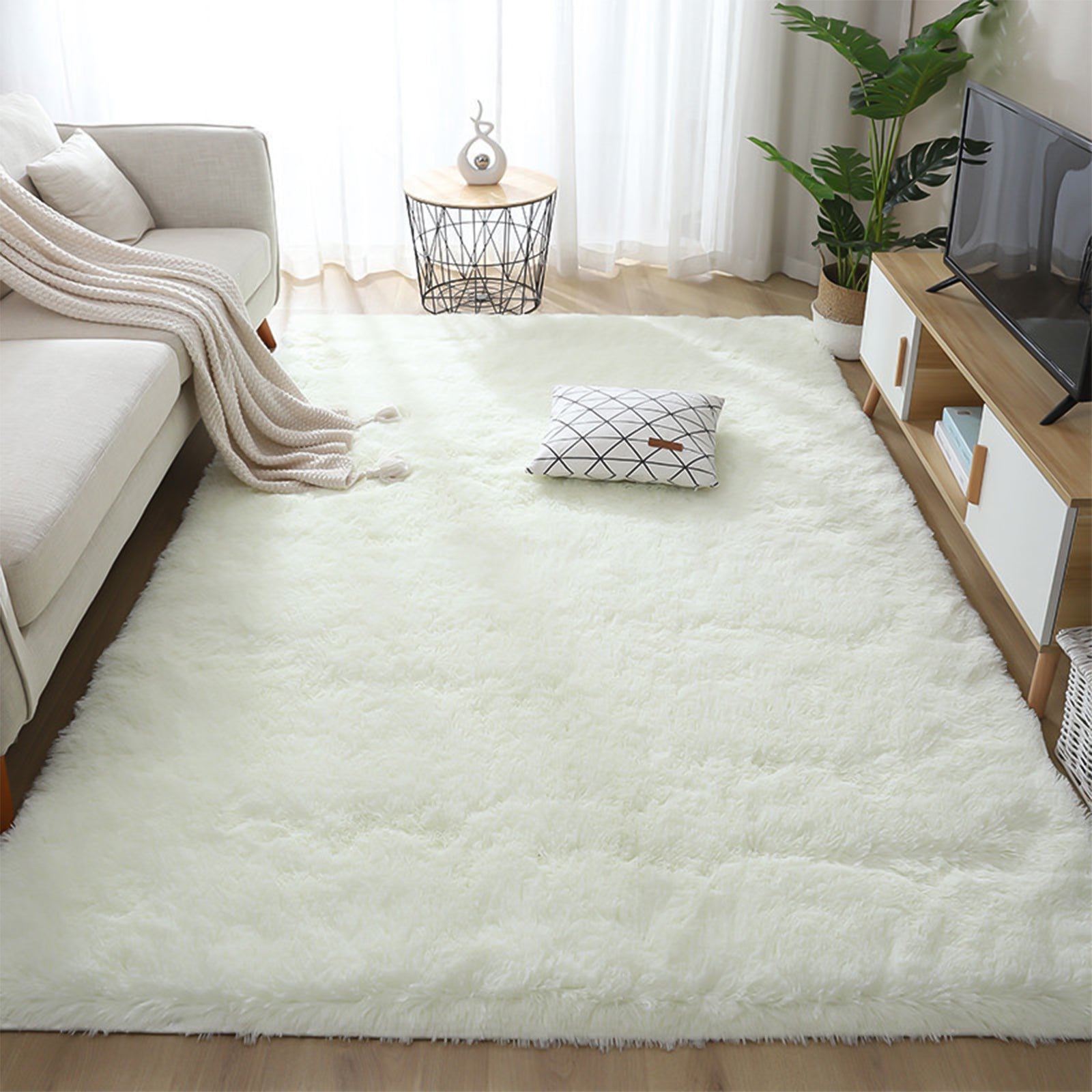 ANMINY Fluffy Shaggy Area Rug 2 x 3 feet