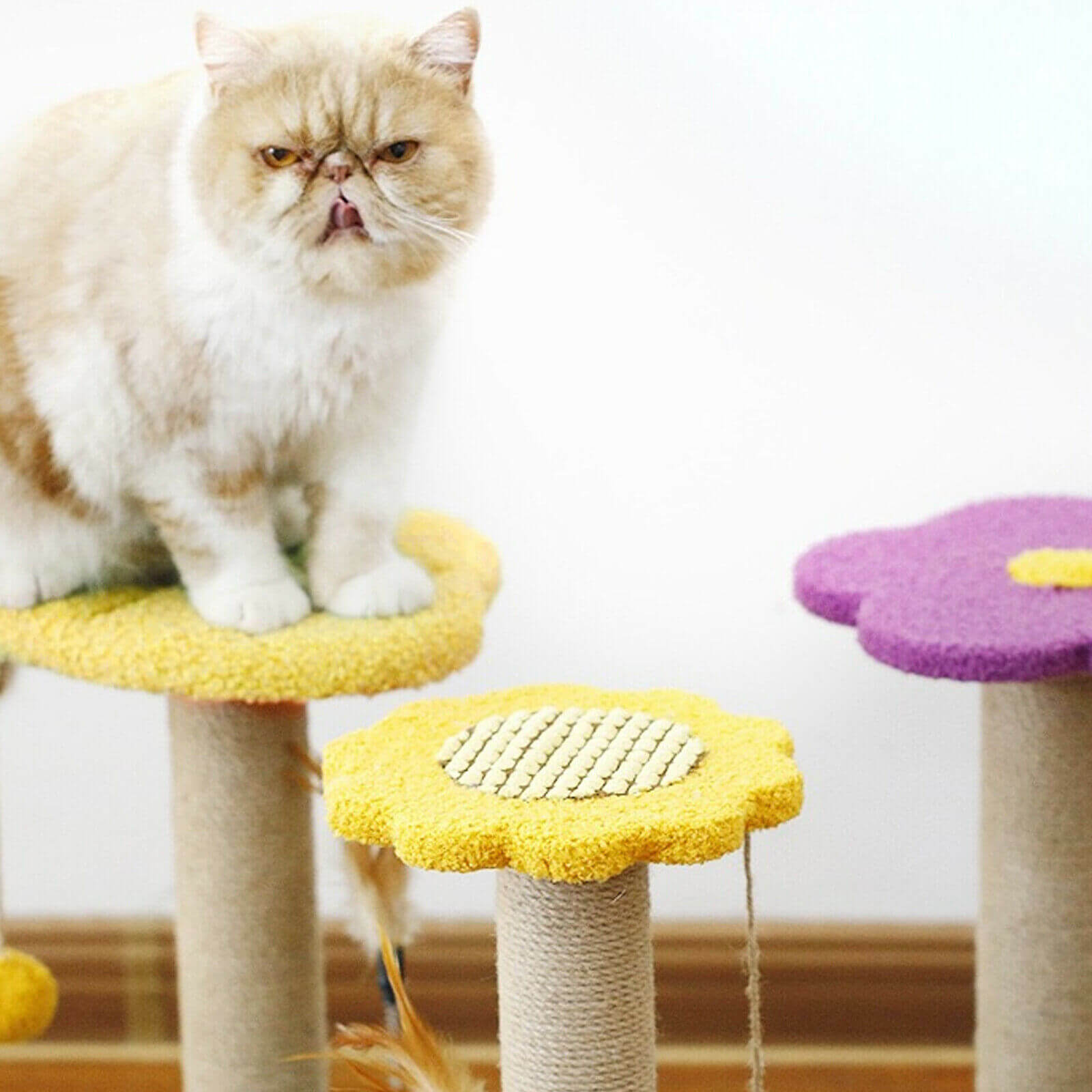 Cat Activity Tree usage