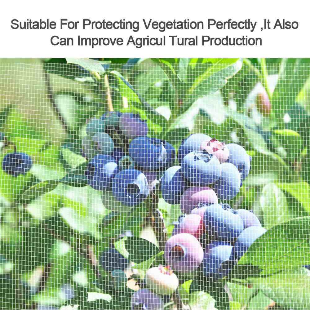Using of Garden Mosquito Bug Insect Netting Mesh