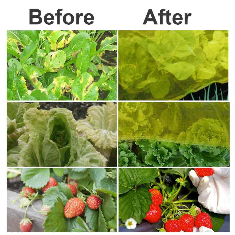 Advantages of Garden Mosquito Bug Insect Netting Mesh