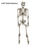 Halloween Skeleton 5.6ft