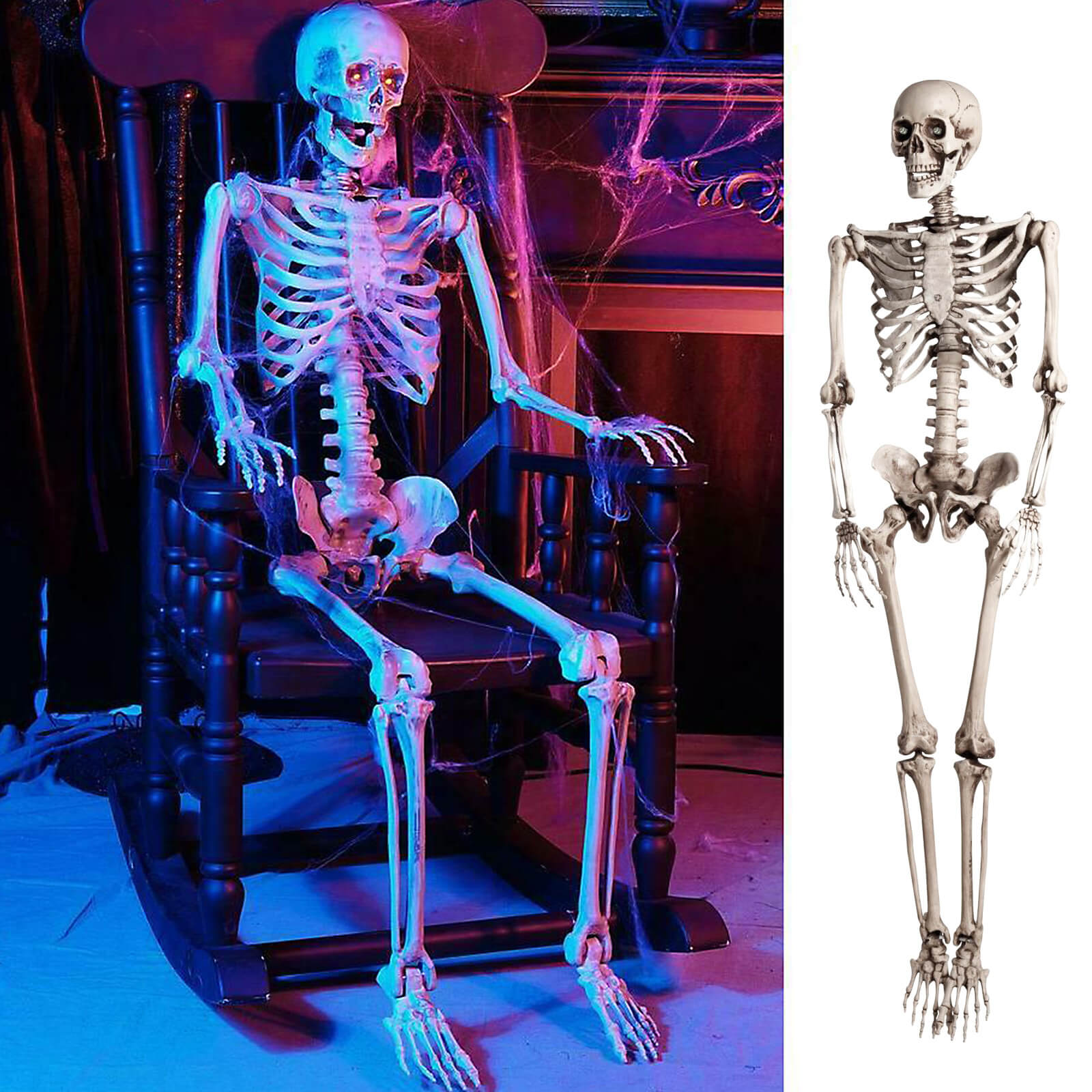 Life-Size Skeleton - BCBMALL