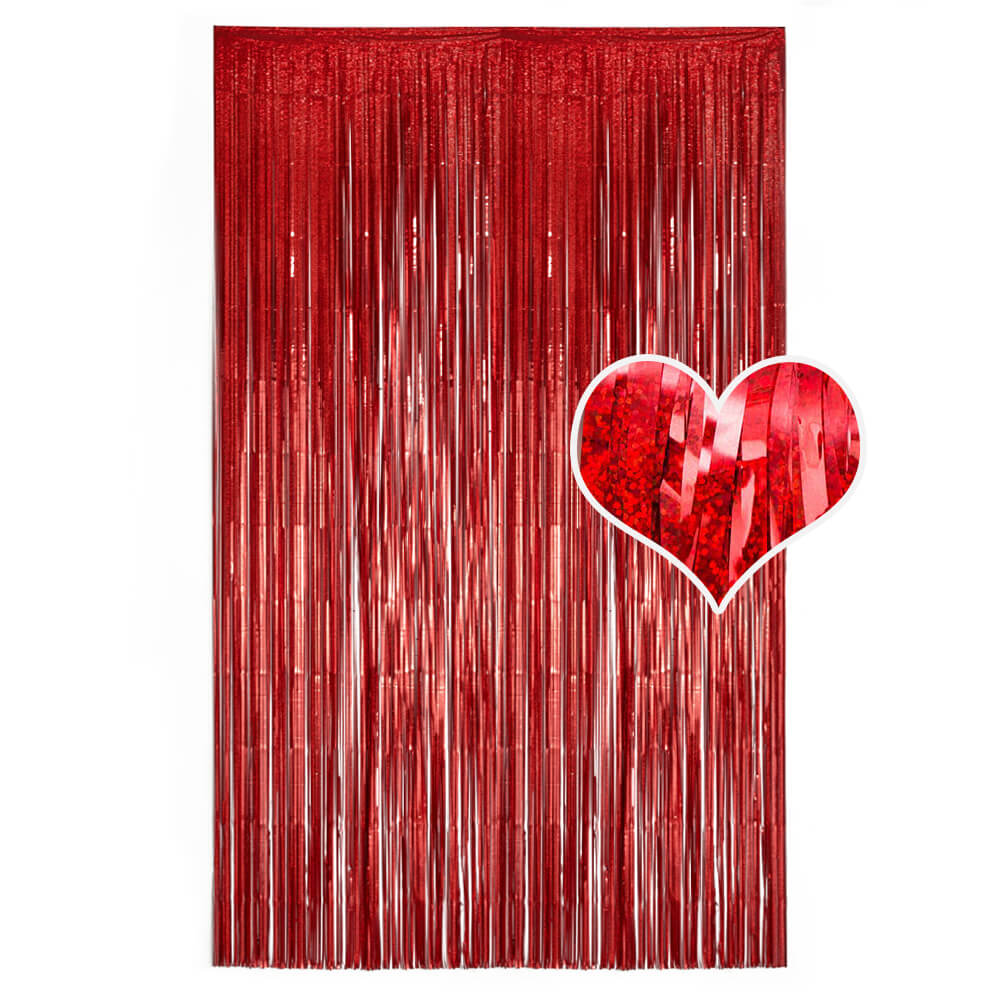 Metallic Foil Fringe Curtain - BCBMALL