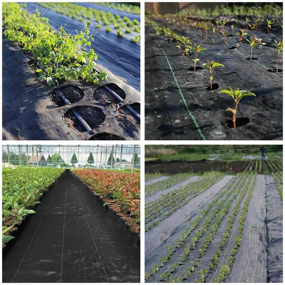 Using of 5.3oz PP Fabric Weed Prevention Cloth Garden Ground Cover