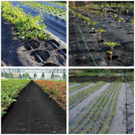 Using of 5.3oz PP Fabric Weed Prevention Cloth Garden Ground Cover