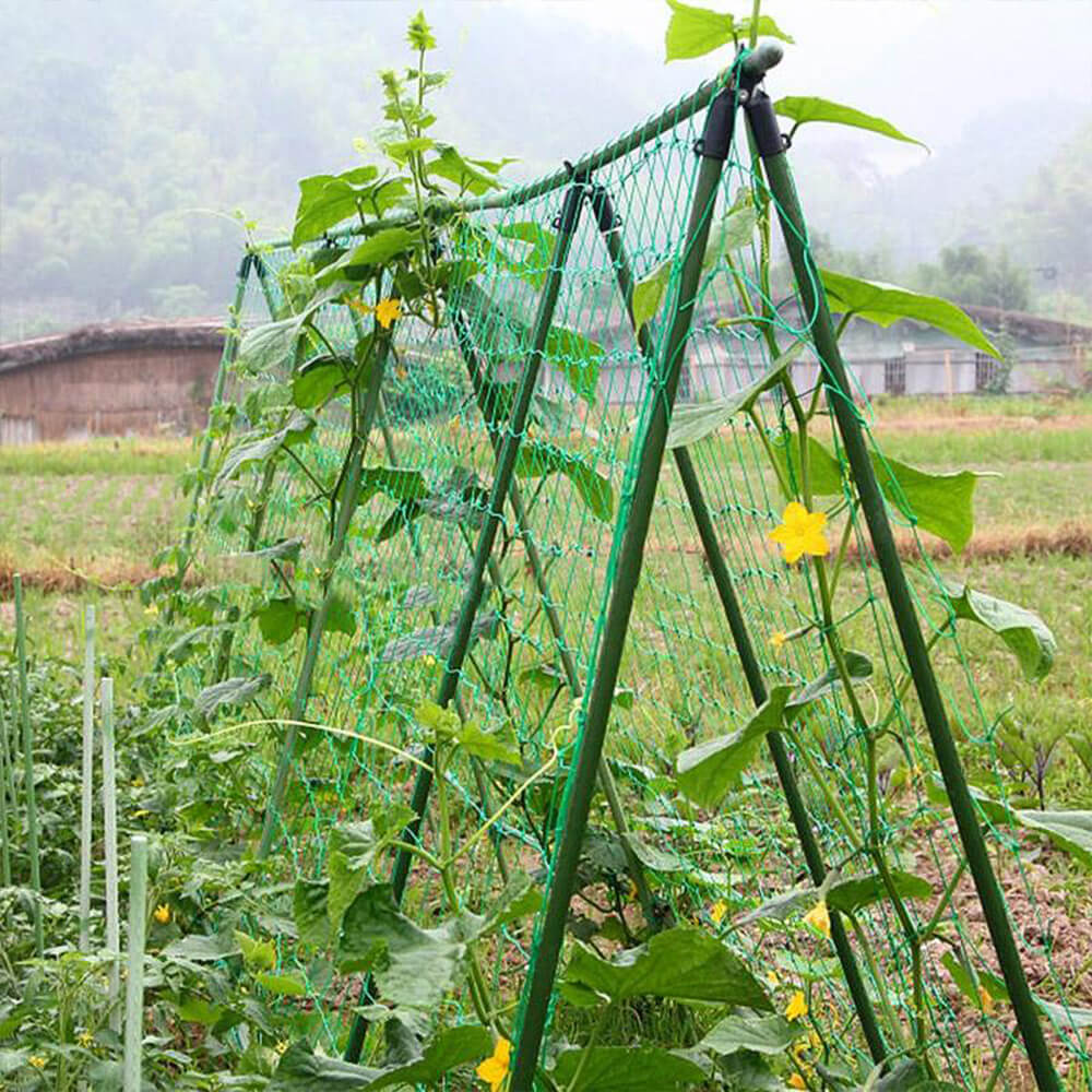 Plant Climbing Net - BCBMALL