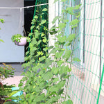 Plant Climbing Net - BCBMALL