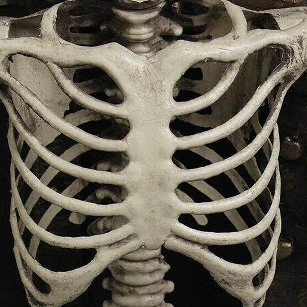Skeleton Halloween Party Decor - BCBMALL