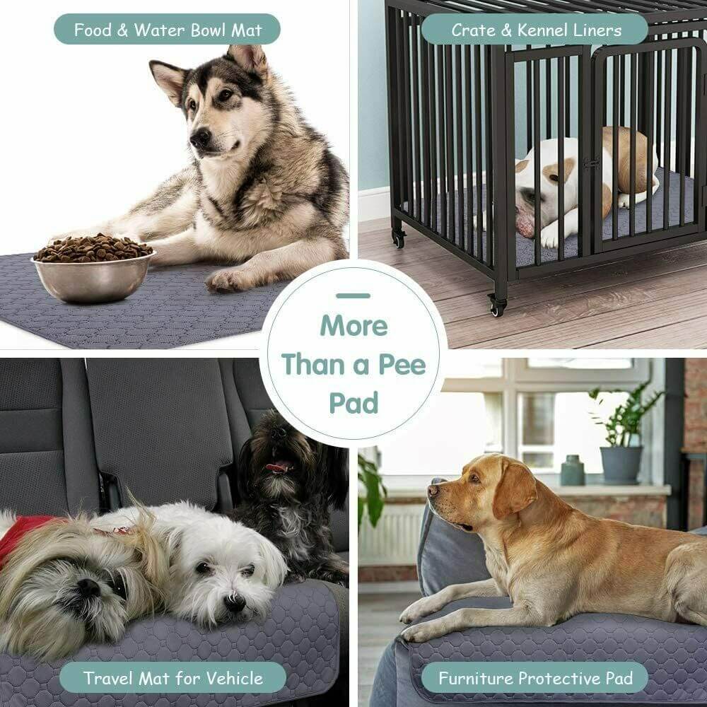 usage of Washable Dog Pee Pad