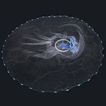 Hand Cast Fishing Net