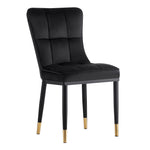 Modern Dining Chairs Set of 2