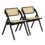 Rattan Dining Chairs Set of 2