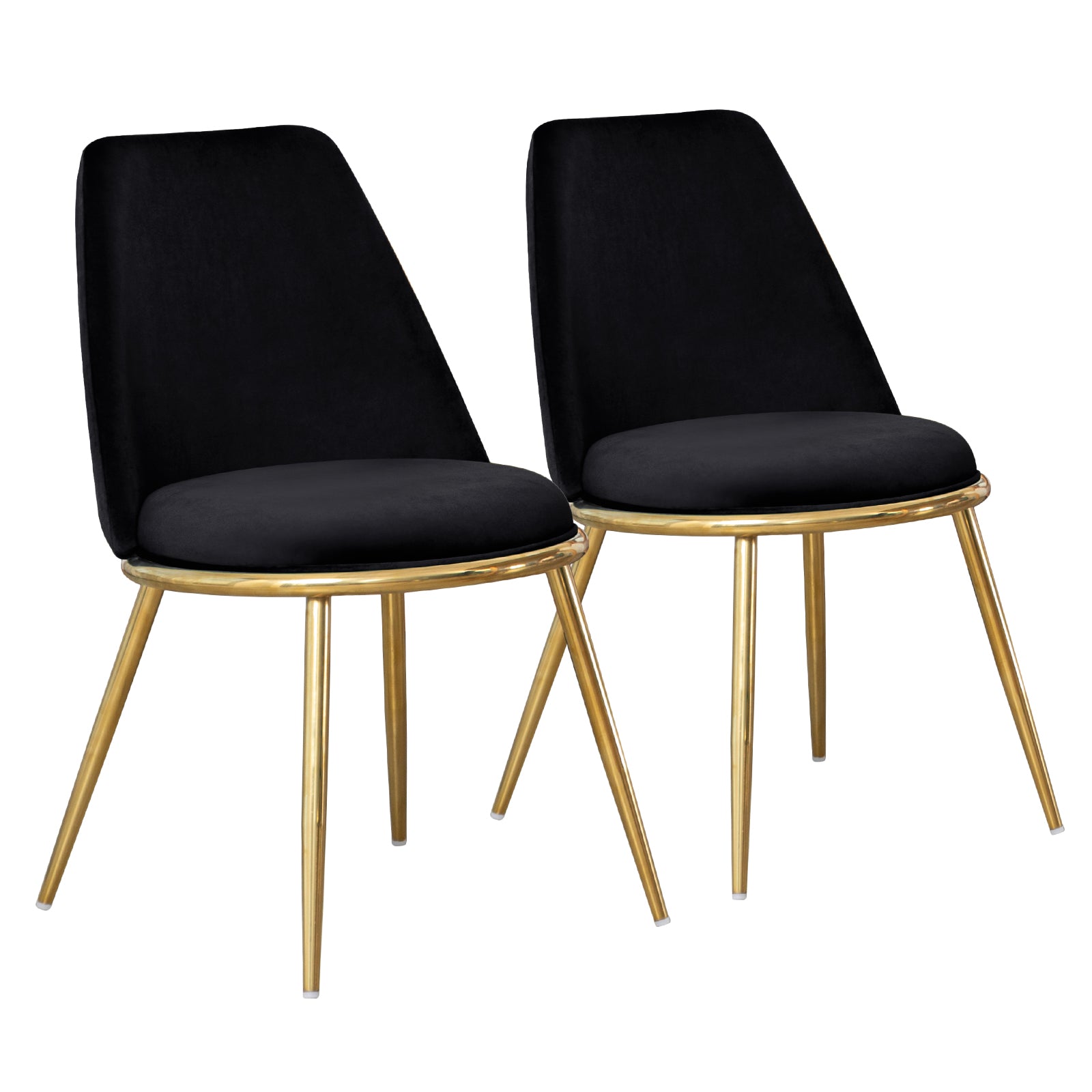 Set of 2 Modern Dining Chairs