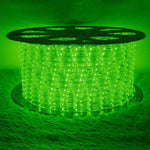 Green 110V Outdoor LED Rope Light Waterproof Strip Lighting