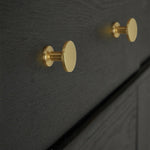 detail of Cabinet Knobs Round Brushed Handles
