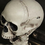 Halloween Skeleton head detail 