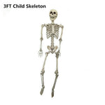 Halloween Skeleton 3ft