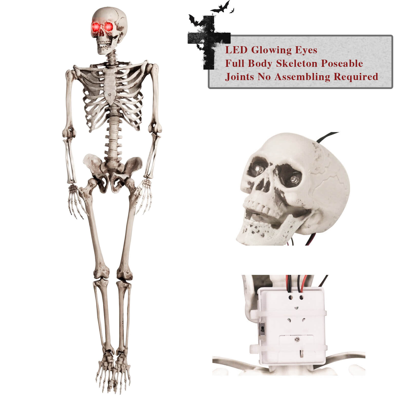 Life-Size Skeleton - BCBMALL