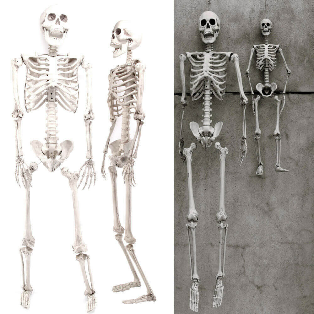 Skeleton Halloween Party Decor - BCBMALL