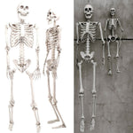 Skeleton Halloween Party Decor - BCBMALL