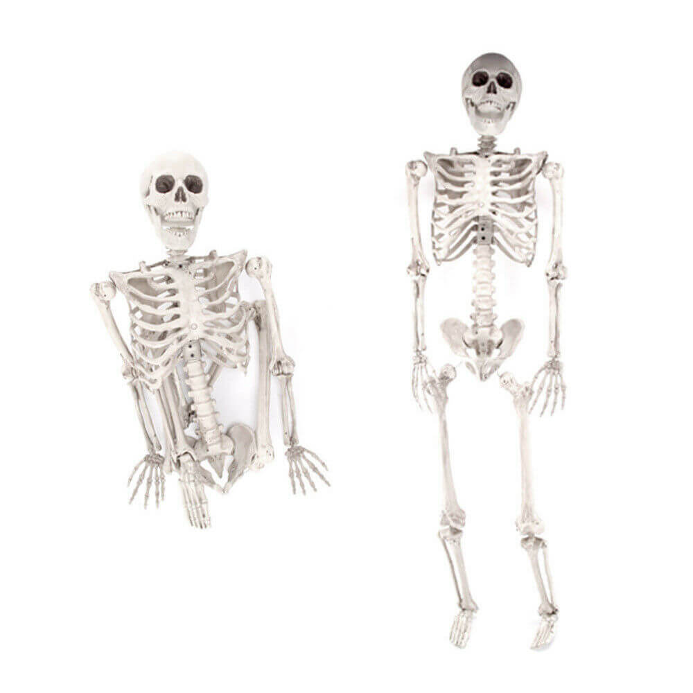 Skeleton Halloween Party Decor - BCBMALL